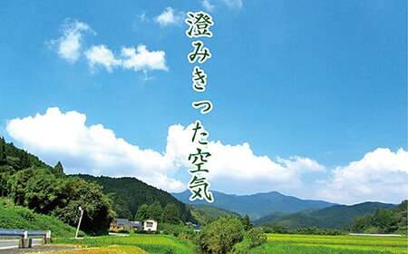 【新米】令和7年産 佐賀市三瀬村産「コシヒカリ」10kg(5kg×2袋):B335-020