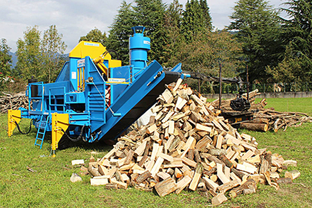 薪の王様「樫」:B140-032