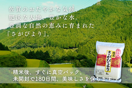 五つ星お米マイスターが厳選！【無洗米】さがびより 2kg×4袋（真空パック）：B350-019