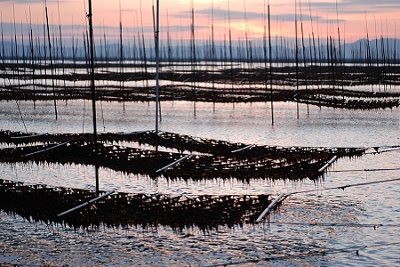 漁協推奨佐賀海苔6本セット 焼きのり 味のり 塩のり 各2本：B135-019