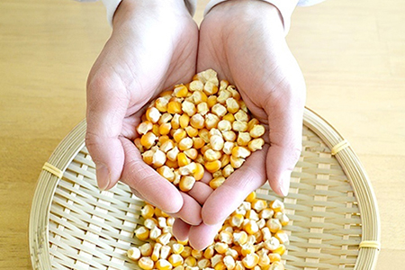 有機栽培 コーン茶(3個セット):B210-004