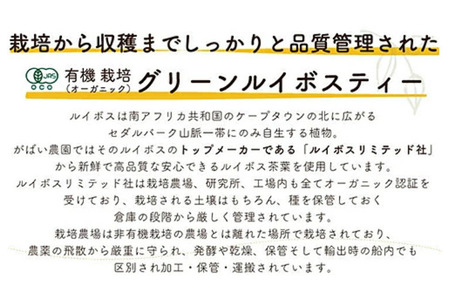 オーガニック グリーンルイボスティー(4個セット):B190-011