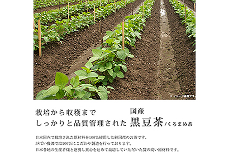 国産 黒豆茶（3個セット）：B180-006