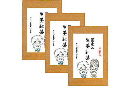 国産 生姜紅茶（3個セット）：B180-008