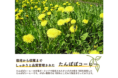 たんぽぽコーヒー(3個セット):B200-006