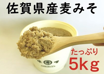 佐賀県産　麦みそ5kg：B023-022