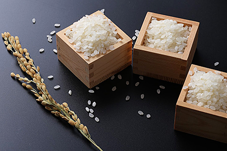 特別栽培米(減農薬)さがびより精米2.7kg：A009-069