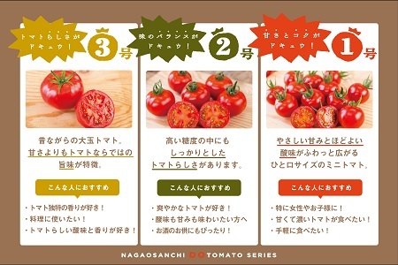 【人気セット】永尾産ちドトマト1〜3号：B032-017