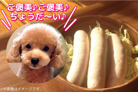 ａ １５５ ワンちゃん ねこちゃん用ウインナー 佐賀県佐賀市 ふるさと納税サイト ふるなび