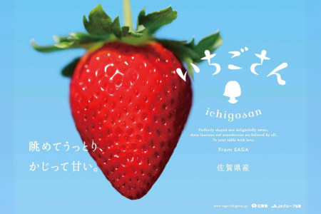 佐賀県産 いちごさん 240g×4パック：B145-012