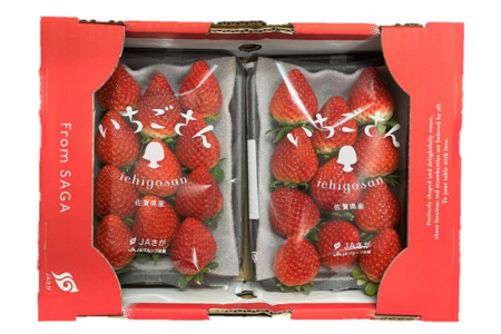 佐賀県産 いちごさん 240g×4パック：B145-012