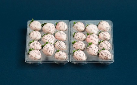 佐賀県産いちご パールホワイト:B190-025