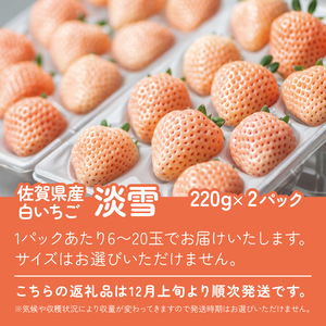 【先行予約】希少いちご 淡雪 220g×2 佐賀産 いちご B140-009