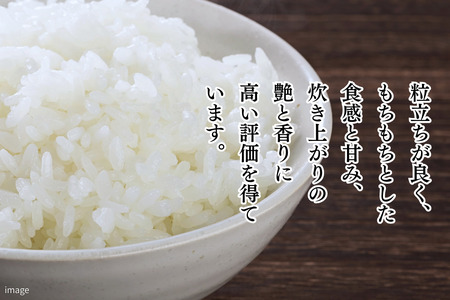 米 【新米】令和7年 佐賀県産「さがびより」特A 5kg：B120-068