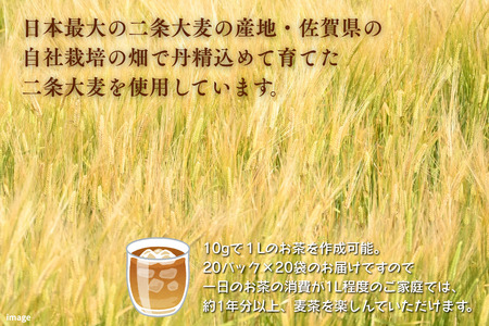ノンカフェインで安心の二条大麦茶 10g×20p×20袋 麦茶 ミネラル：B135-006