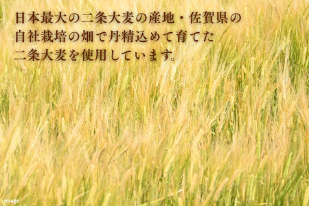 二条大麦茶 ノンカフェイン ミネラル B135-006 麦茶