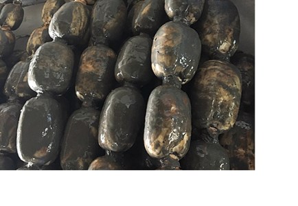 うんっま！！佐賀れんこん 4kg：B185-002