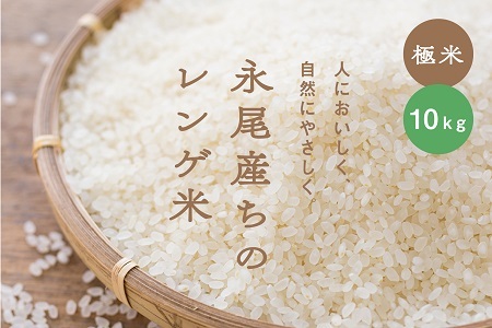 【極米】農家直送1年がかりのれんげ米（5kg×2）：B019-072