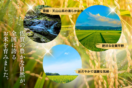 令和7年 佐賀県産夢しずく 白米6kg：B170-037