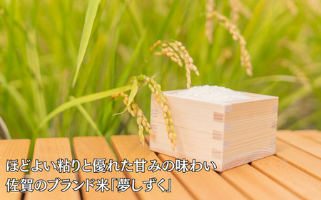 令和7年 佐賀県産夢しずく 白米12kg：B300-045