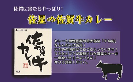 希少部位使用 佐賀牛カレー 2個セット レトルト:A095-031