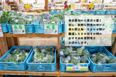 新鮮・季節の野菜詰め合わせ:B120-006