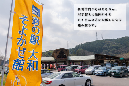 新鮮・季節の野菜詰め合わせ:B120-006