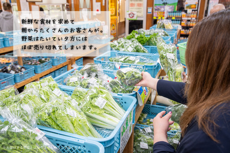 新鮮・季節の野菜詰め合わせ:B120-006
