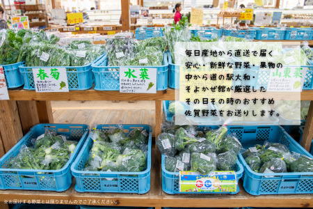 旬の野菜と果物セット：B165-002