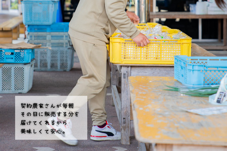 旬の野菜と果物セット：B165-002