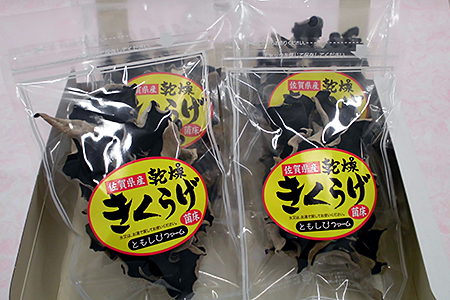 佐賀県産乾燥きくらげ4袋（手作業）：B014-041