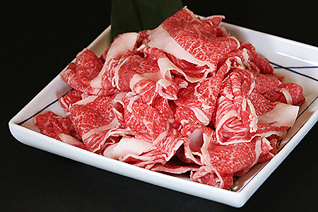 ｅ ００９ 佐賀牛切り落とし 1ｋｇ 500g 2 佐賀県佐賀市 ふるさと納税サイト ふるなび