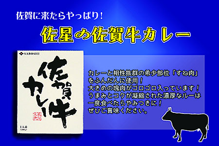 希少部位使用 佐賀牛カレー満腹セット(8個):B250-004