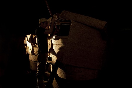 おいしい飲むバーモント酢5本入り：B150-037