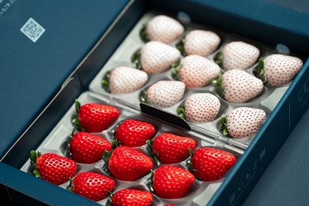 【定期便3回】佐賀県産 紅白いちご食べ比べ【1～3月発送】：B395-004