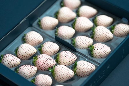 【定期便3回】佐賀県産 紅白いちご食べ比べ【1～3月発送】：B395-004