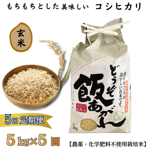 【定期便5回】もちもちとした美味しいコシヒカリ玄米【農薬・化学肥料不使用栽培米】5kg×5回（計25kg）：C111-010