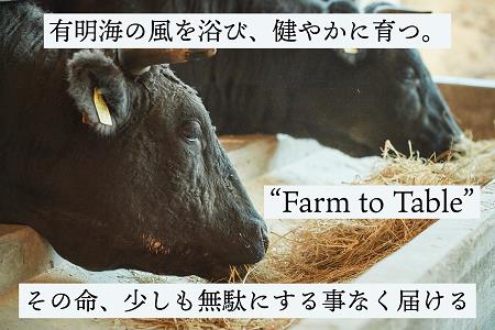【牧場直送】佐賀産黒毛和牛 至福のきりおとし 500g：B130-004