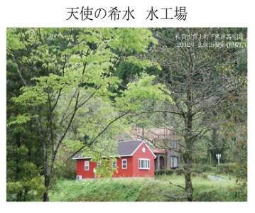 『天使の希水』2L×8本入り(計16L):B140-078