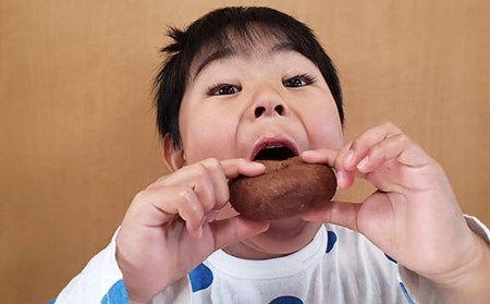 美味しい！お魚を使ったドーナツたっぷり20袋セット：B140-063