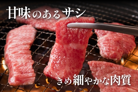 佐賀県産 焼肉5種セット 匠盛：B025-021