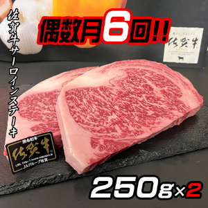 【偶数月定期便（年6回）】佐賀牛ステーキ 250g×2：C172-004