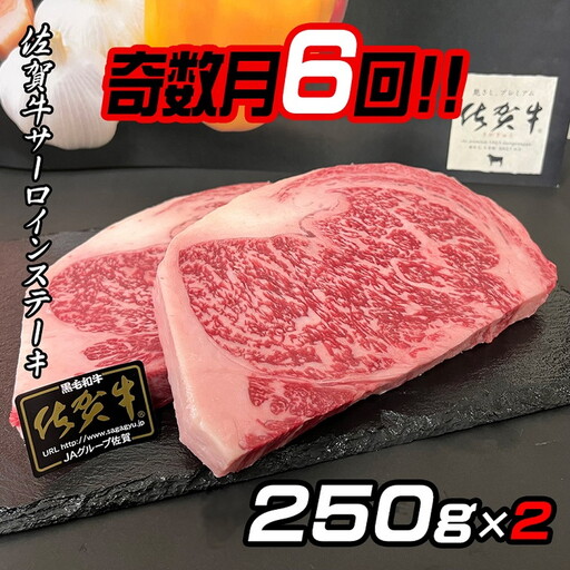 【奇数月定期便(年6回)】佐賀牛ステーキ 250g×2:C172-005