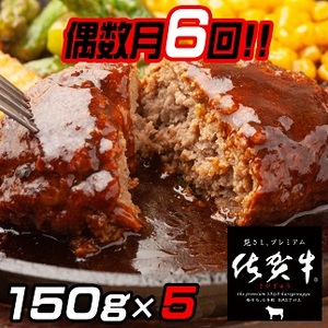 【偶数月定期便（年6回）】佐賀牛入りハンバーグ 5個：B062-001