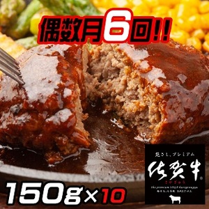 【偶数月定期便（年6回）】佐賀牛入りハンバーグ 10個：B094-008