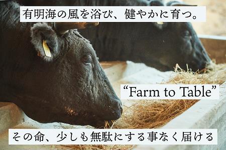 【定期便6回】【牧場直送】佐賀産黒毛和牛 赤身ブロック肉500g：B083-002
