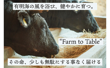 【牧場直送】佐賀牛 赤身ブロック肉 1000g：B250-022