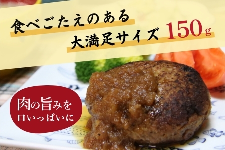 佐賀牛ハンバーグ 10個セット：B315-005