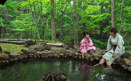 上士幌・ぬかびら源泉郷 宿泊・体験クーポン 3,000円分 北海道 十勝 旅行 トラベル ホテル 旅館 旅行券 宿泊券 宿泊チケット アクティビティー