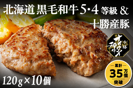 北海道　和牛肉　5・4等級　本物志向の冷凍ハンバーグ｜十勝ナイタイ和牛　ビーフ&ポークハンバーグ＜120g×10個＞　［016-N60］　※オンライン申請対応